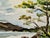 Rustic Henry Emil Salloch Original Watercolor on Paper Lakeside Bay, 1962. For Sale - Image 3 of 7