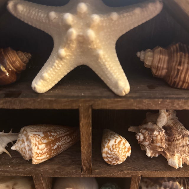 White Whimsical House-Shaped Wooden Curio Cabinet With Curated Seashell & Starfish Collection For Sale - Image 8 of 10