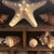 White Whimsical House-Shaped Wooden Curio Cabinet With Curated Seashell & Starfish Collection For Sale - Image 8 of 10