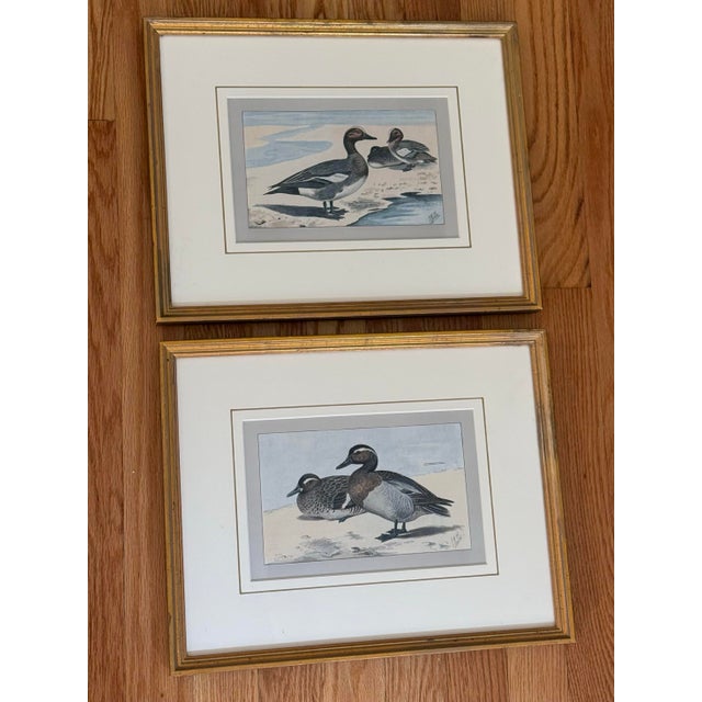 Brown 1930s Pair of Framed Antique Chromolithograph Duck Prints For Sale - Image 8 of 9