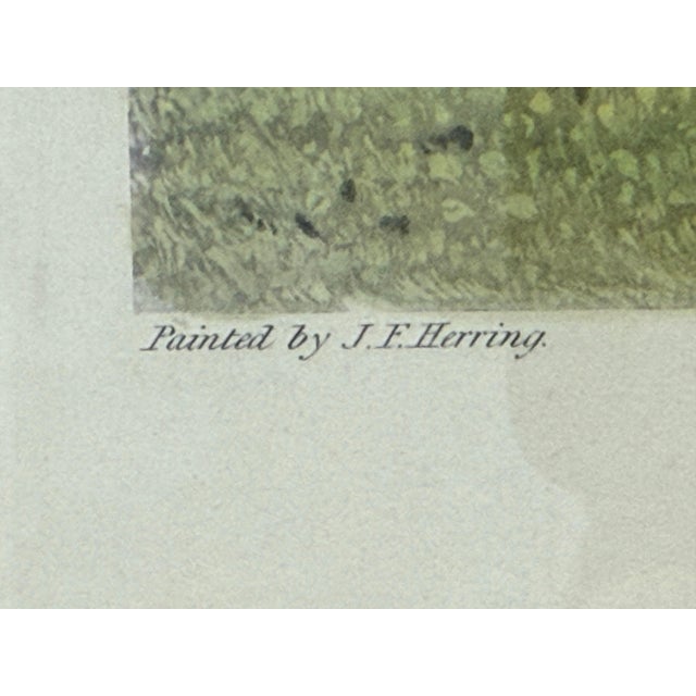 C. Hunt for John F. Herring “Bloomsbury” Equestrian Engraving, Framed For Sale - Image 9 of 12