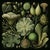 Set of 15 - 90' X 54' Evergreen Organic Modern Gallery Wall Installation Botanical Prints - Dark Green, Unframed For Sale - Image 13 of 17