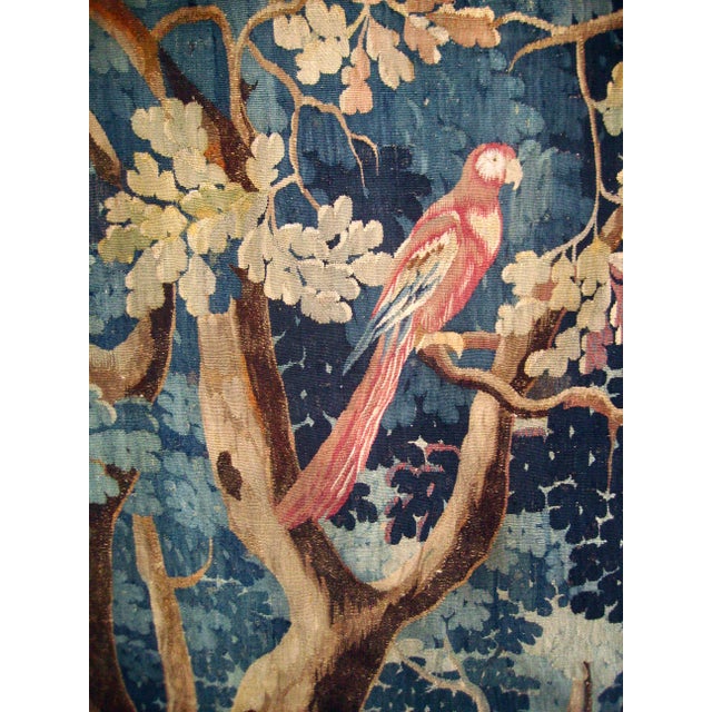 Mid 18th Century Aubusson French Tapestry Verdure Red Parrot in a Tree 18 Century For Sale - Image 5 of 15