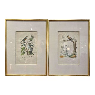 Pair of Antique Hand-Colored Bird Prints, Framed Lithographs, 14 X 19 For Sale