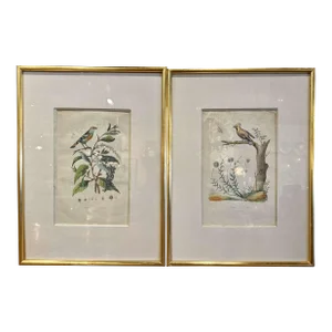 Pair of Early 20th Century French Hand-Colored Bird Framed Prints by E. Guerin