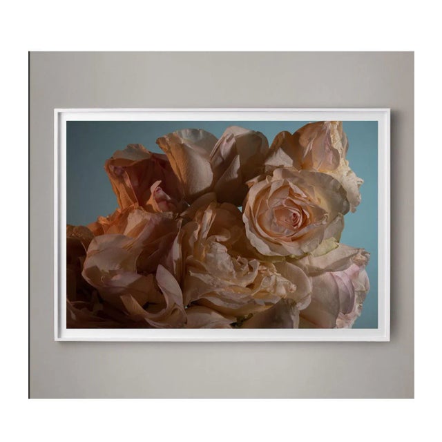 This still life of Roses by LA-based artist Molly Frances revels in the extraordinary play of color, shadow, and texture....
