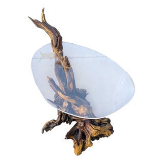 Vintage Organic Modern Driftwood Side Table With Acrylic Top, Mid-Century For Sale