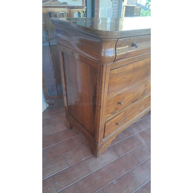 NINETEENTH CENTURY (1800 - 1900) French “Cappuccino” chest of drawers in solid walnut – mid-19th century Elegant French...