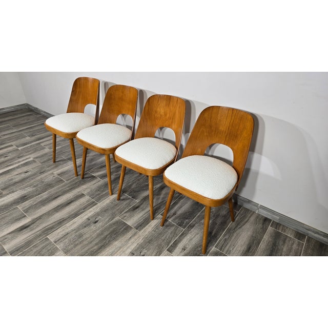 Dining Chairs from Oswald Haerdtl, 1950s, Set of 4 For Sale - Image 9 of 10