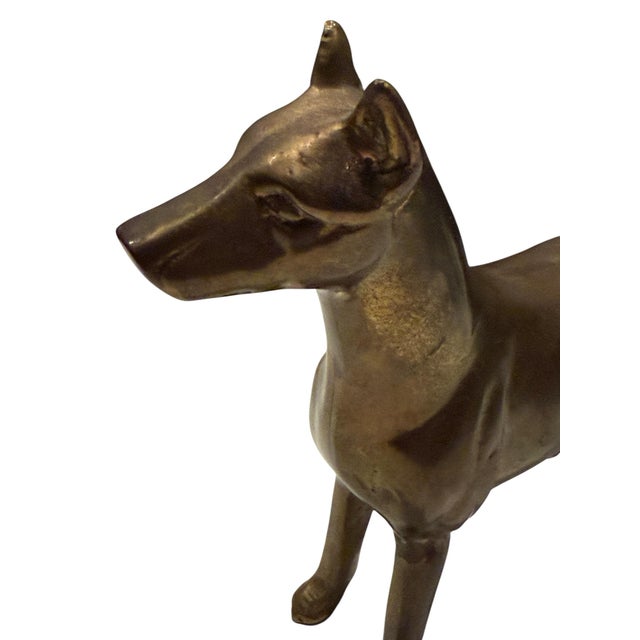 Vintage Brass Doberman Pitcher Dog For Sale - Image 4 of 7
