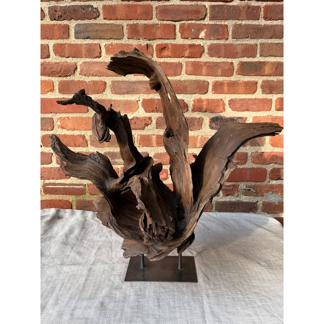 1980s Vintage Teak Wood Root Sculpture on Metal Stand For Sale - Image 5 of 17