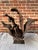 1980s Vintage Teak Wood Root Sculpture on Metal Stand For Sale - Image 5 of 17
