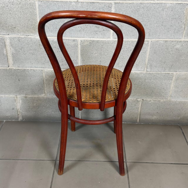 1960s Vintage Chairs in Bent Wood and Vienna Straw, 1960s, Set of 2 For Sale - Image 5 of 13