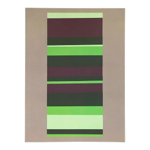 2009 Josef Albers the Interaction of Color Plate Xviii-8