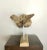 Large Natural Driftwood Organic Whale Sculpture on Stand For Sale - Image 4 of 7