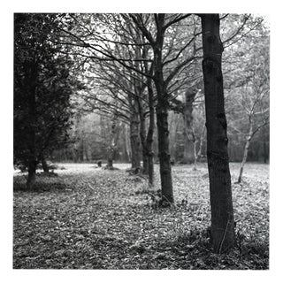 Paul Cooklin, Thornham Walks, Edition of 50 For Sale