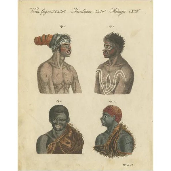 Bertuch, Aboriginals, Inhabitants of Australia, 1800, Print For Sale