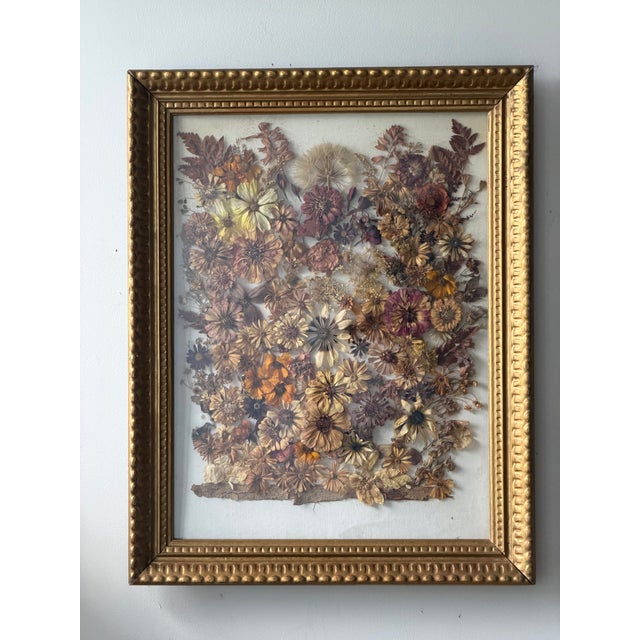 Gold Vintage 1976 Pressed Dried Flower Art, Framed Botanical Collage, Gilt Frame For Sale - Image 8 of 13