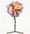 Contemporary Realistic Table Lamp by Dario Nasuti For Sale - Image 3 of 7