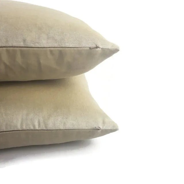 Not Yet Made - Made To Order F. Schumacher Sophia Velvet in Champagne Pillow Cover For Sale - Image 5 of 7