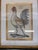Antique Colored Rooster Prints in Trowbridge Frames - Set of 4 For Sale In Miami - Image 6 of 12