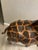 Tall 4ft - Vintage Leather Wrapped Giraffe Sculpture For Sale - Image 9 of 13