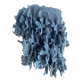 Natural Blue Coral Specimen Coastal Decor For Sale
