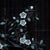 36" * H96"/Panel * 4ps, Black Chinese Bird-and-Flower Wallpaper, Bird-and-Flowe Wallpaper Mural, 4 Panels For Sale - Image 6 of 7