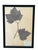 1960s 1965 French Herbarium Botanical Specimens – Set of 6 Custom Framed Pressed Botanicals For Sale - Image 5 of 15