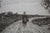 Antique Edward Loyal Field Signed Country Road Thatched Cottage Etching 23" For Sale - Image 11 of 13