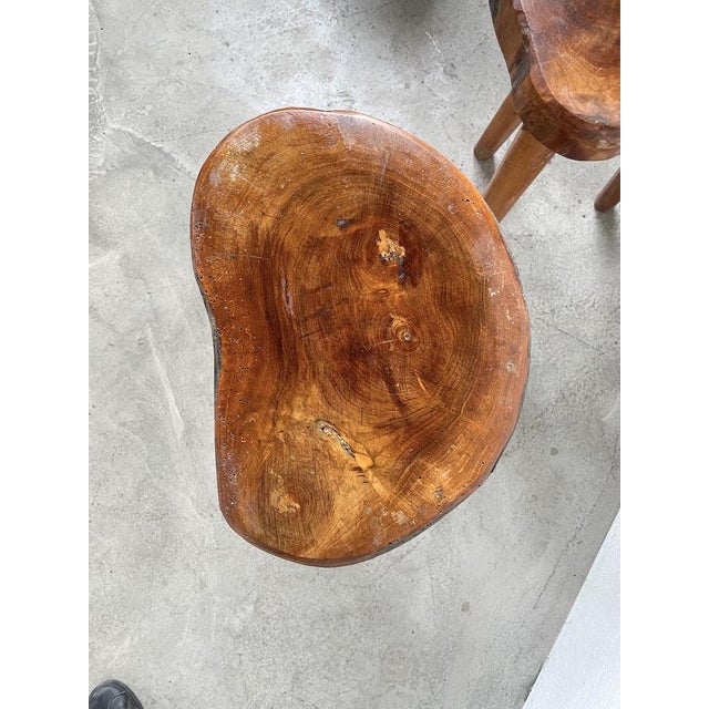 Olive Tree Tripod Stools, 1950s, Set of 5 For Sale - Image 9 of 18