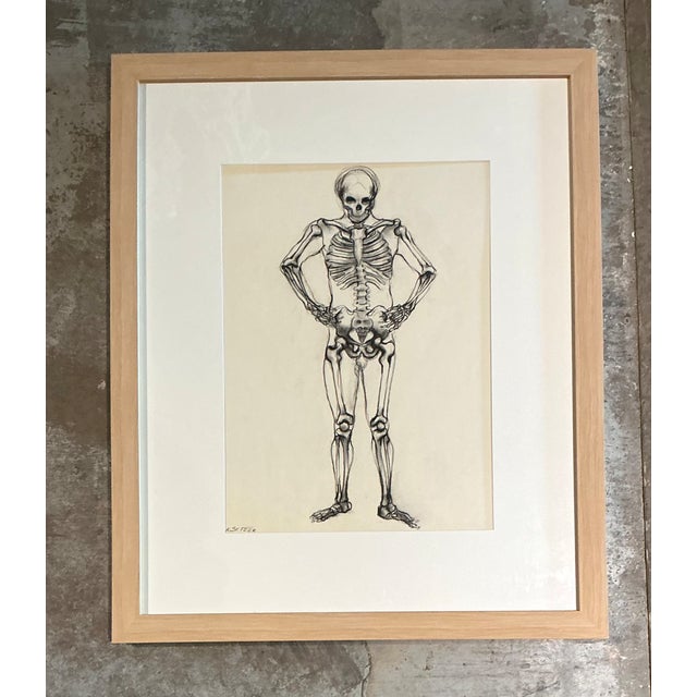 Vintage Framed Skeleton Study on Paper For Sale - Image 10 of 12