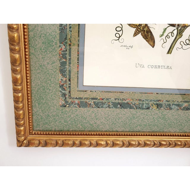 Green Large Italian Reproduction Print Signed For Sale - Image 8 of 12