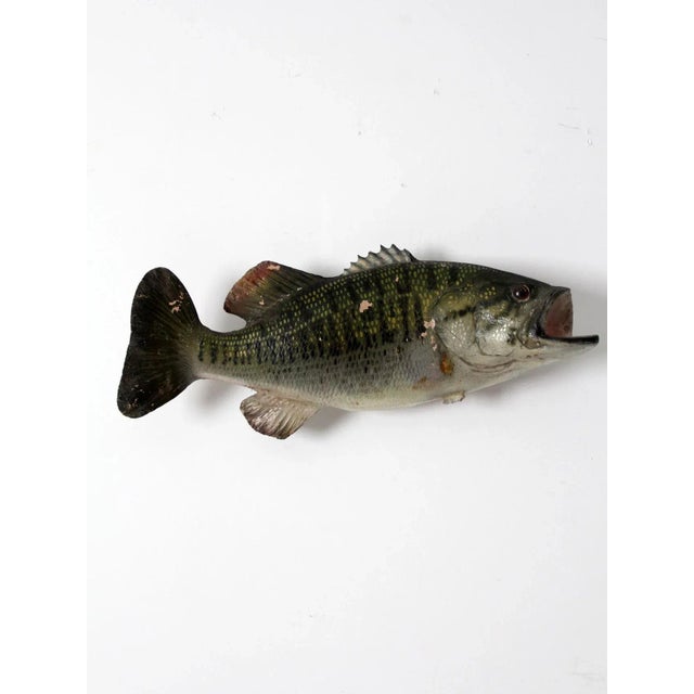Vintage Bass Fish Wall Mount For Sale - Image 9 of 9