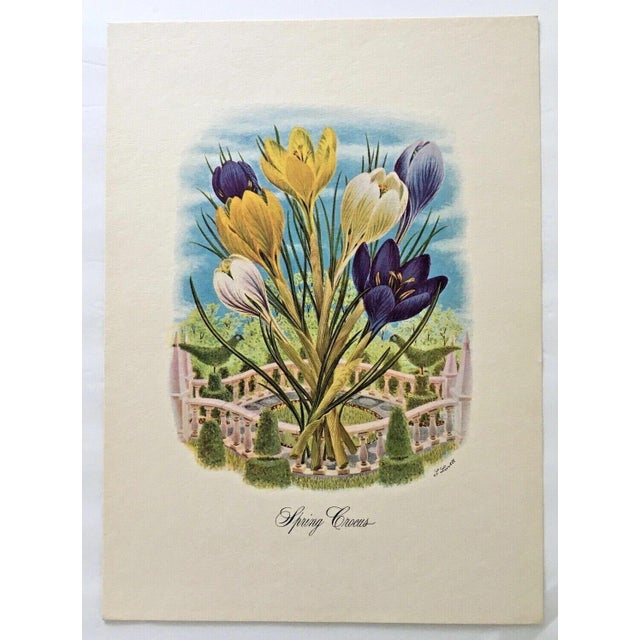 Up for sale is this vintage 1940s flower print from Libbie Lovett, one of several we are currently selling Matted in a 16"...