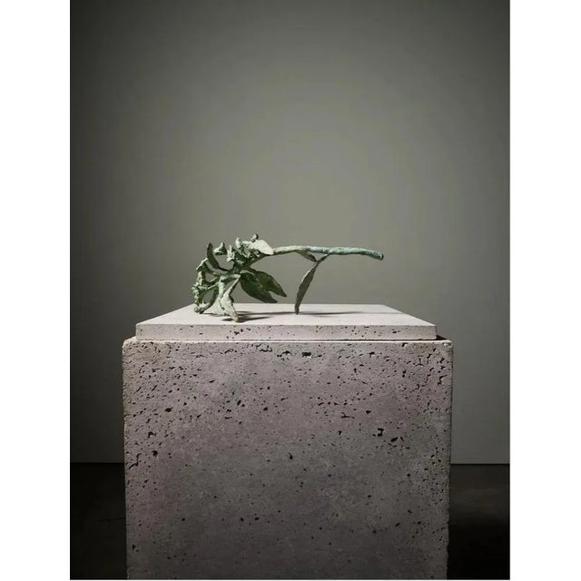 Contemporary Euphorbia Sculpture 02 by Herma De Wit For Sale - Image 3 of 6