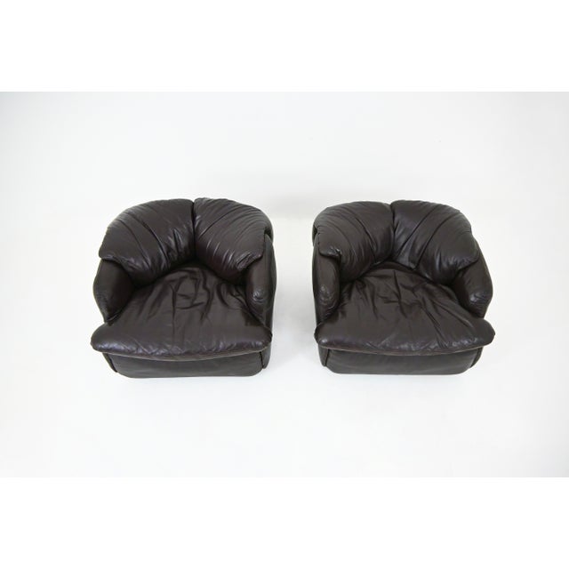 Animal Skin Vintage Confidential Lounge Chairs by Alberto Rosselli for Saporiti, 1970s, Set of 2 For Sale - Image 7 of 10