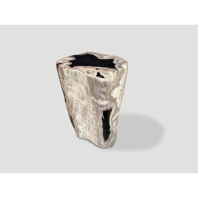 Andrianna Shamaris Abstract High Quality Petrified Wood Side Table For Sale - Image 4 of 5