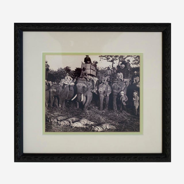 1930s Vintage 1930s Photos of a Tiger Hunt in Colonial India For Sale - Image 5 of 6