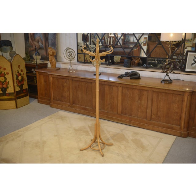Curved Beechwood Coat Rack, 1970s For Sale - Image 4 of 9