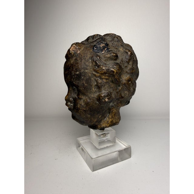 Brown Tuscan Artist, Sculpture Depicting a Cherub's Head, 1500, Terracotta For Sale - Image 8 of 17