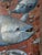 19th Century Spanish Farmhouse Gate with Marine Mural of Tuna For Sale - Image 4 of 18