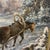 20th Century European School Oil on Canvas by Polish Artist Edward Mesjasz (1929-2007) Depicting Winter Horses Hauling Woods For Sale - Image 11 of 12