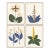 Desert Flowers by Susan Hable For Sale