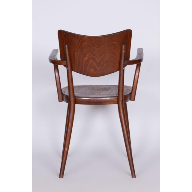 Vintage Art Deco Beech Chair from Ton, 1940s For Sale - Image 6 of 9