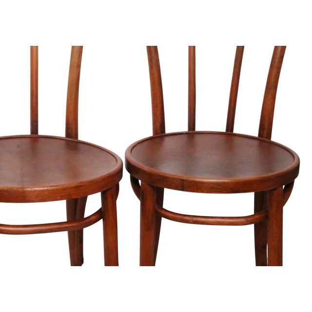 Early 20th Century Early 20th Century Set of Four Vienna Secessionist Style Thonet Bentwood Cafe Bistro Dining Chairs For Sale - Image 5 of 13