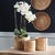 Rattan goes mod with our latest Cane Rattan collection. With a light and refined color & finish, a distinctively more...