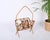 Brown Mid-Century French Riviera Bamboo and Rattan Magazine Rack, 1960s For Sale - Image 8 of 15
