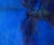 2010s Oil Painting Fog on the Lake Natalia Korf-Ivaniuk For Sale - Image 5 of 7