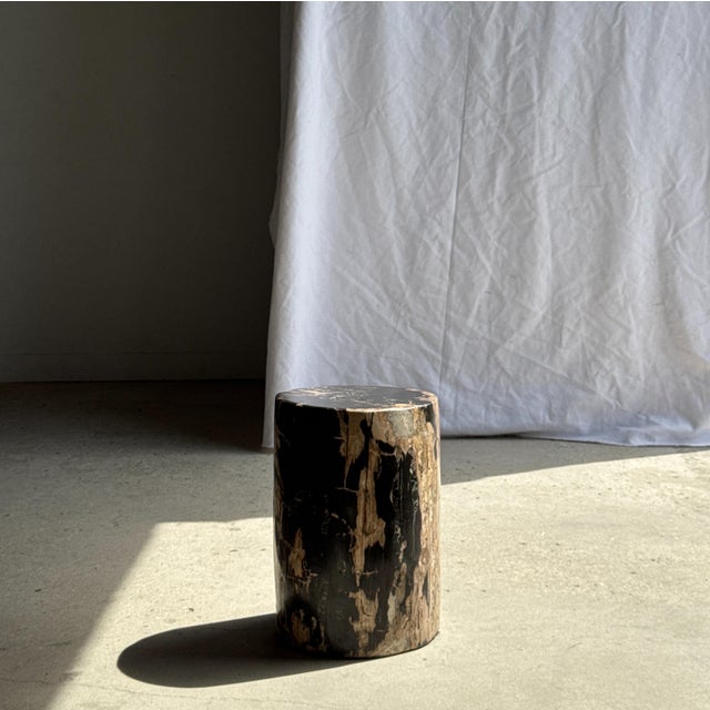 1980s Side Table in Black Petrified Wood with Beige Sides, 1980s For Sale - Image 5 of 18
